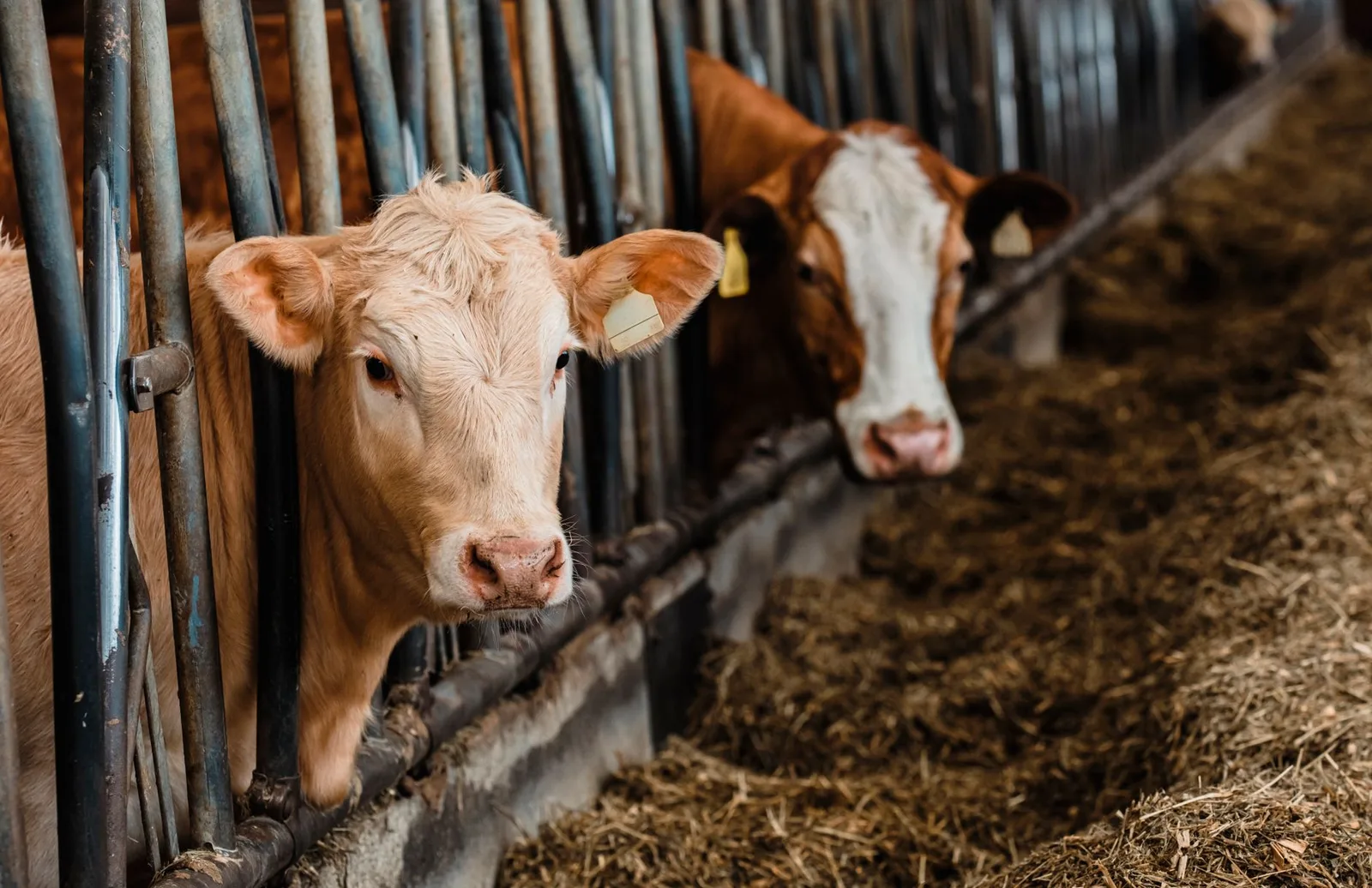 Farm and Agricultural Restrooms in Denver, CO